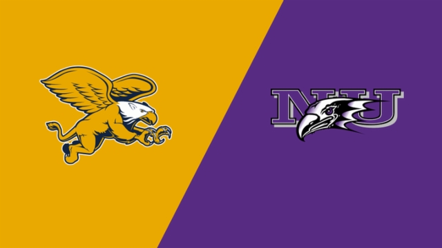 劳力士手表 劳力士手表