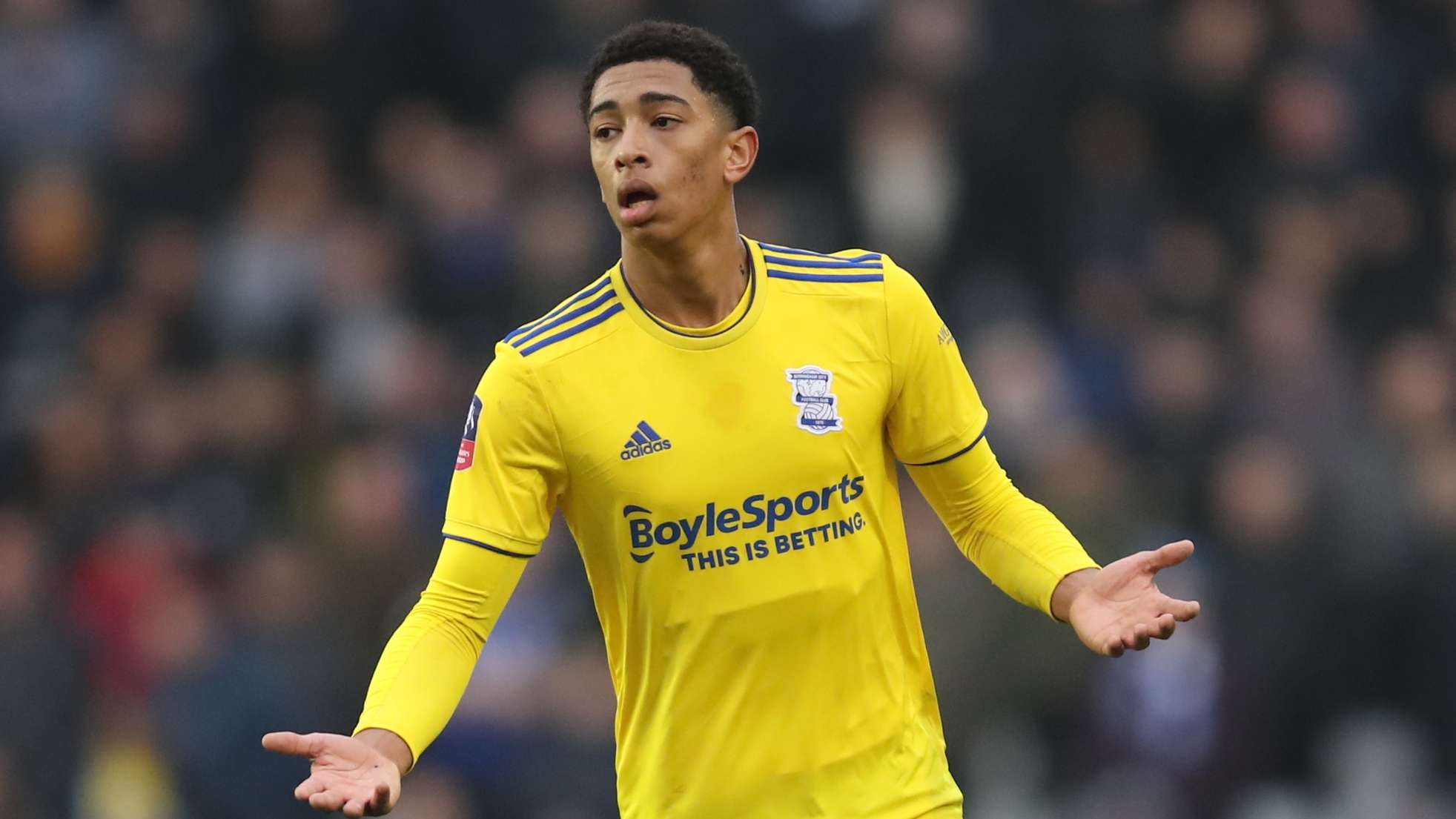 但他们目前 但他们目前